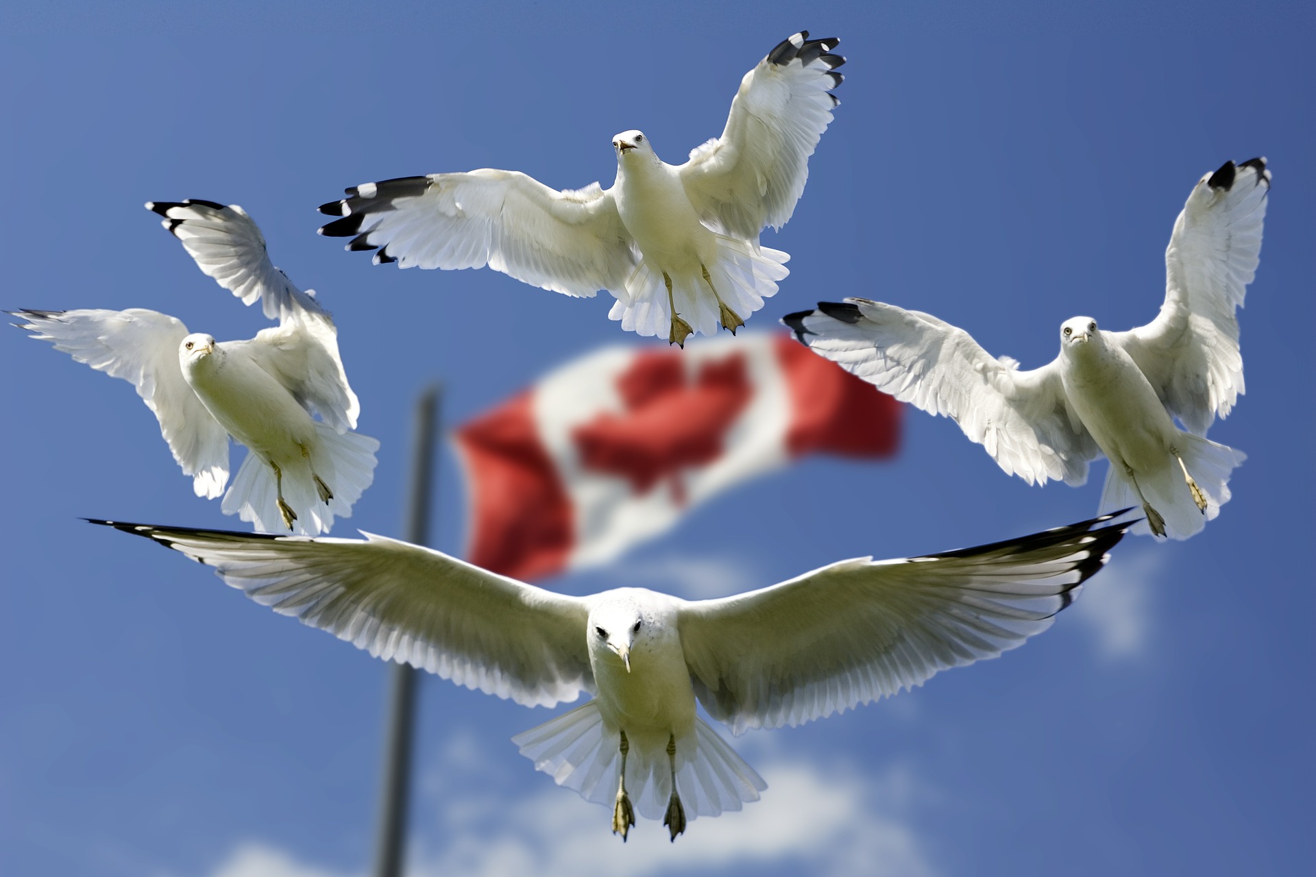 Canada luôn thu hút bạn bè du lịch quốc tế bởi sự hòa hợp giữa thiên nhiên và con người.