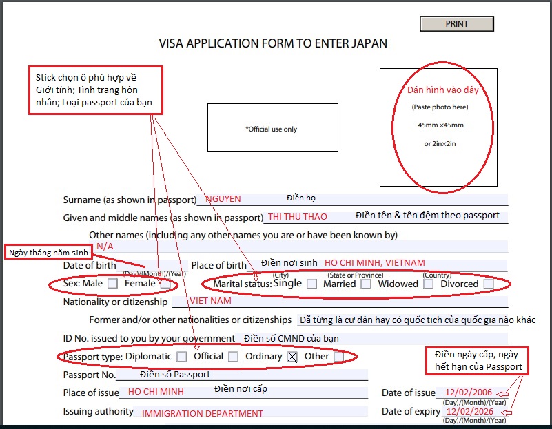 Đơn xin cấp visa Nhật Bản (theo mẫu của lãnh sự)